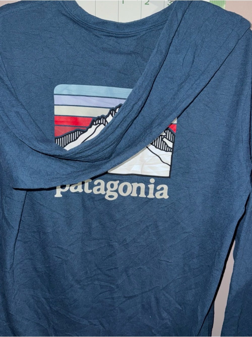 Patagonia Long-Sleeve Crewneck Tee in Deep Blue with White Logo
